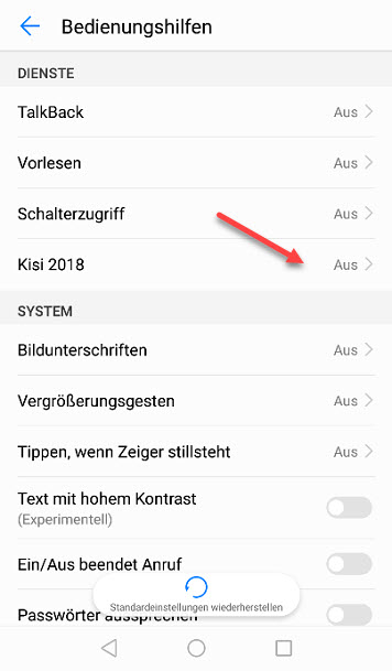Dienste mit Eintrag der Kisi App